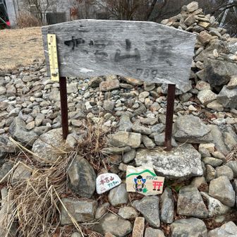 本が消えそう💦