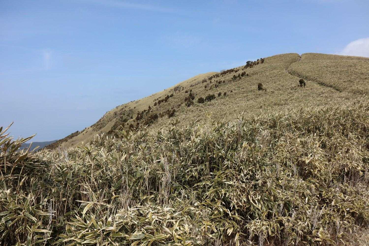 金冠山〜小達磨山〜達磨山〜古稀山〜伽藍山　往復コースの写真