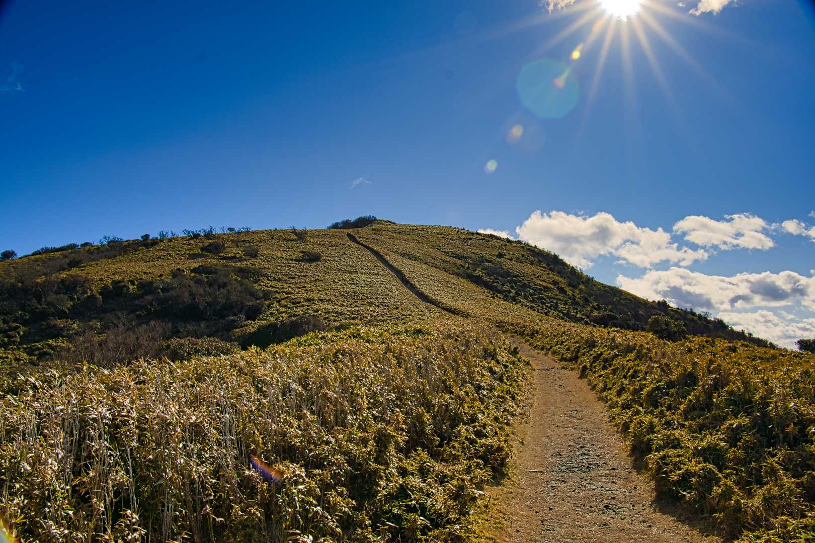 大曲茶屋バス停-伽藍山-古稀山-達磨山-金冠山 縦走コースの写真