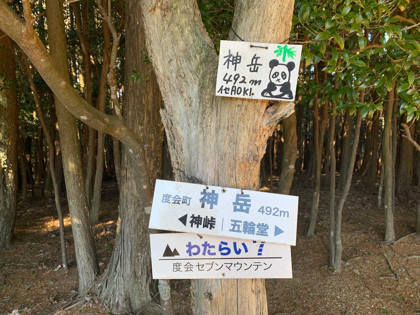 神岳にも到着！度会セブンの一つだったようですね😄