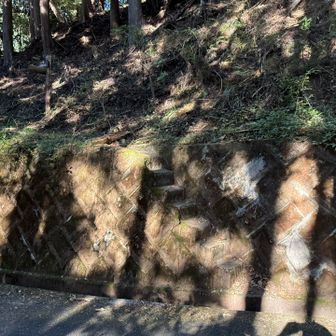 二ノ塔尾根の入口　この階段を見過ごしてタイムロス