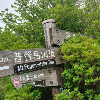 分岐.霧氷沢の方へ
時期的遅いがヒカゲツツジ少し咲いてるかな😉