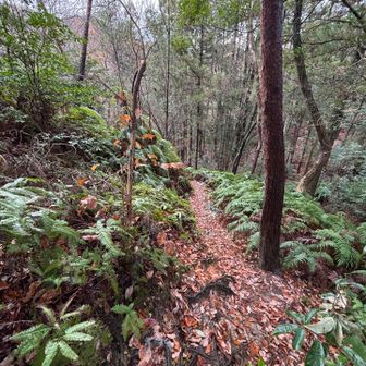 そして、雨も止み、
振り返る。
やっぱこのルート好きだ❤️