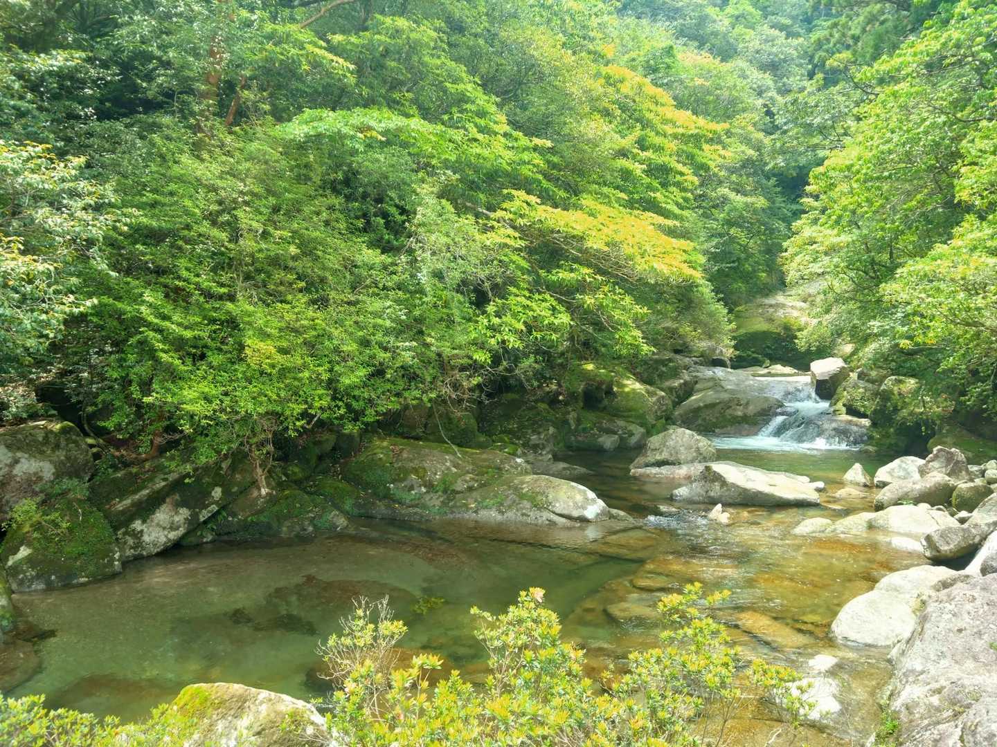 縄文杉-ウィルソン株-辻峠-白谷雲水峡登山口 縦走コースの写真