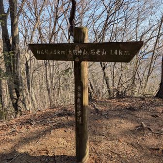 大明神山に登頂