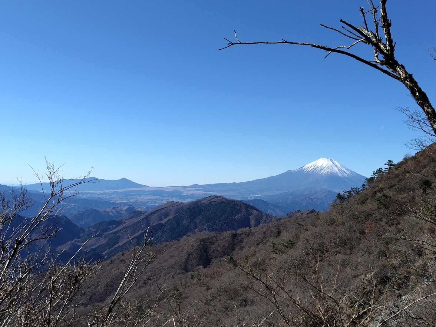大倉バス停-後沢乗越-鍋割山-小丸 往復コースの写真