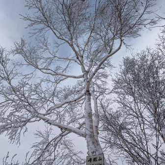 わぁー✨
峰越山は綺麗🌟