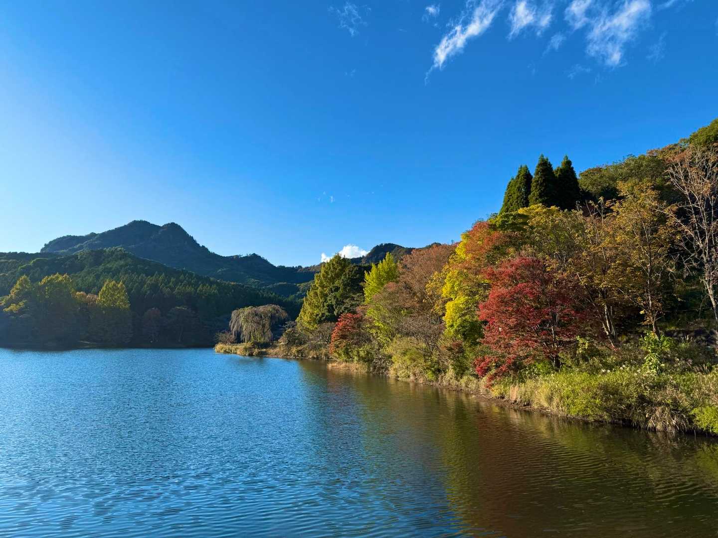 またきますー🍁ヾ( ˙꒳˙  )ﾏﾀﾈｰ