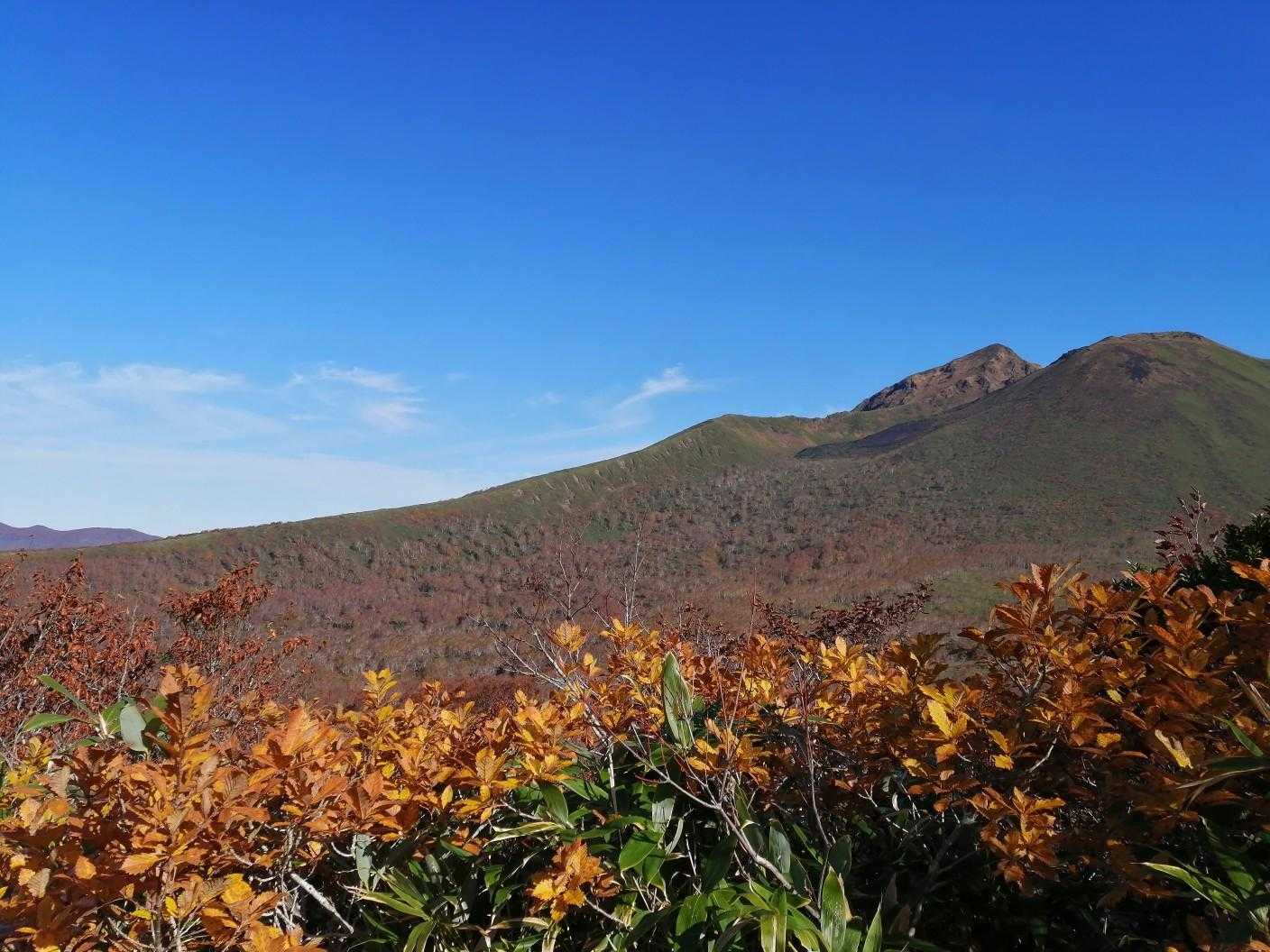 男岳が顔を出したよ⤴️