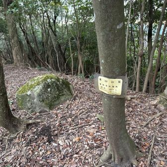 東山に着いた。
眺望無し。
