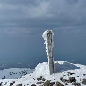 海老の尻尾、少し。