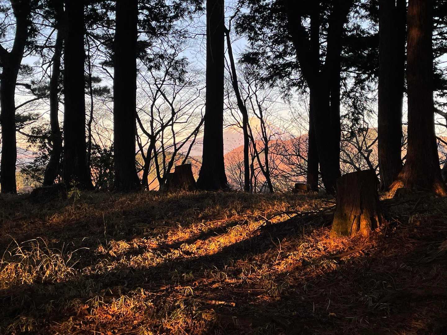 富士山が見えた🗻‼️
