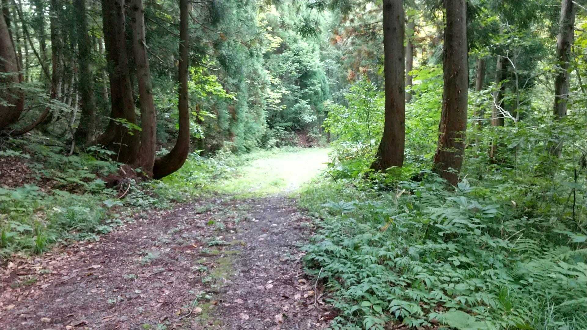 登山口到着‼️