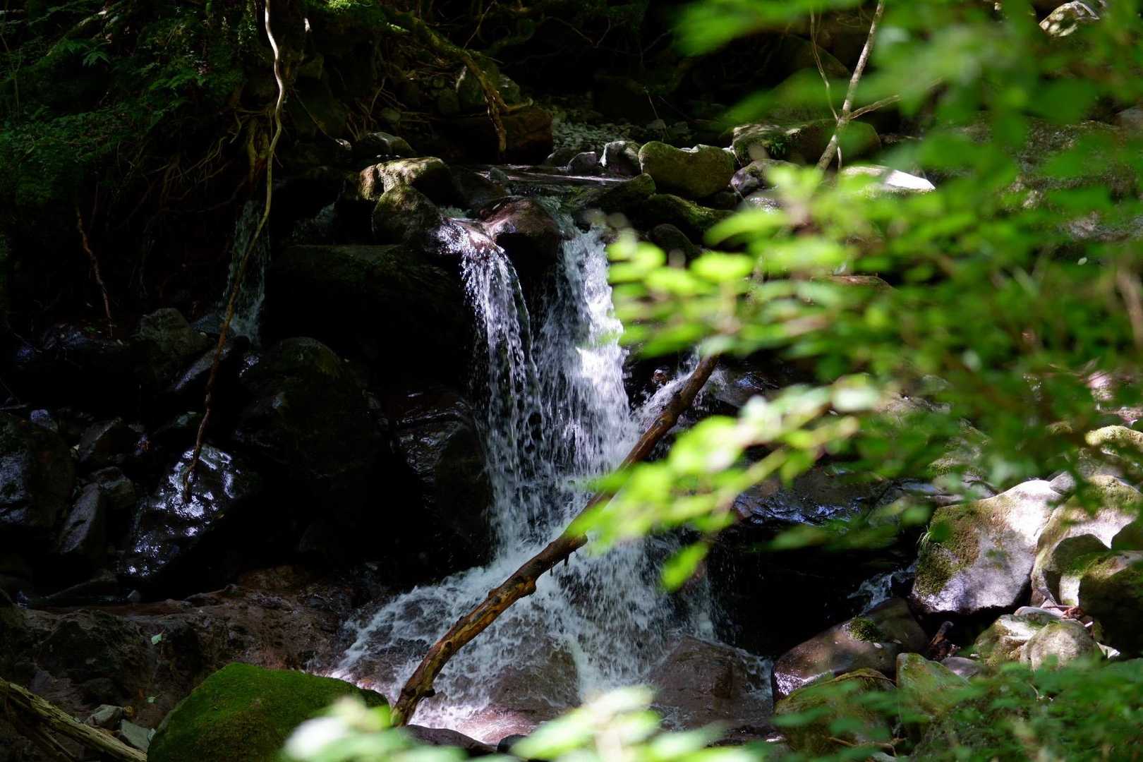 暑いけど、川の流れが涼しげ
