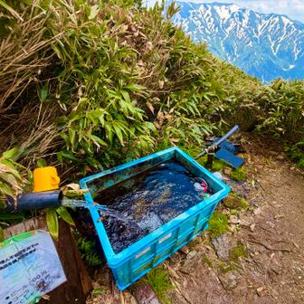水場は梅花皮岳の方に向かって二股を右に行った
突き当たり
門内小屋は水場がないのでここで5.5ℓ汲んで行きます
