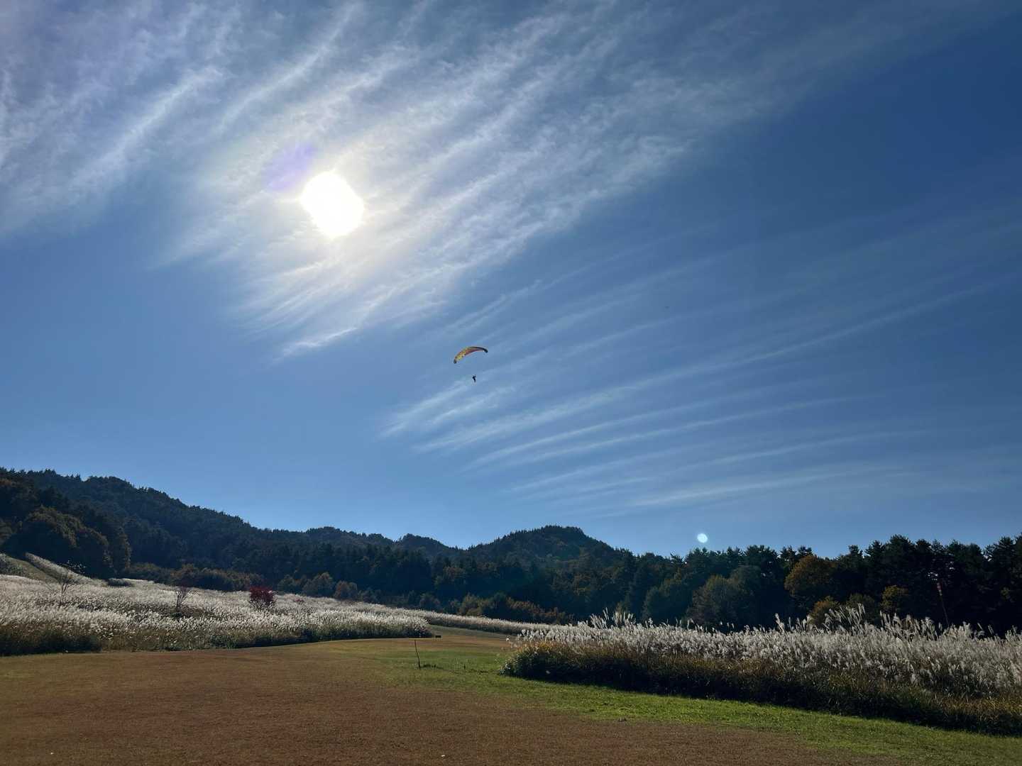 元はスキー場だったのでこの斜面を使ってパラをやってました