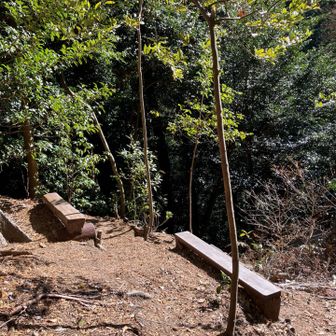 日向ベンチでお昼タイム🍙
ぽかぽか☀️
冬はココがいい〜☺️