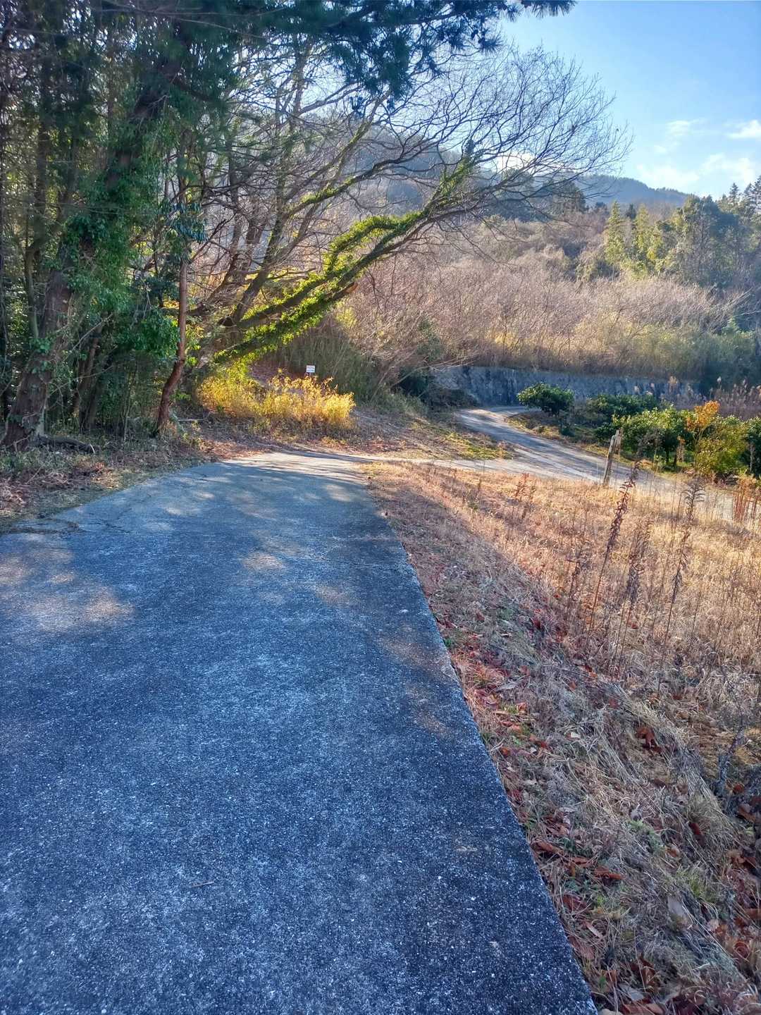 それでは登山口を目指します。