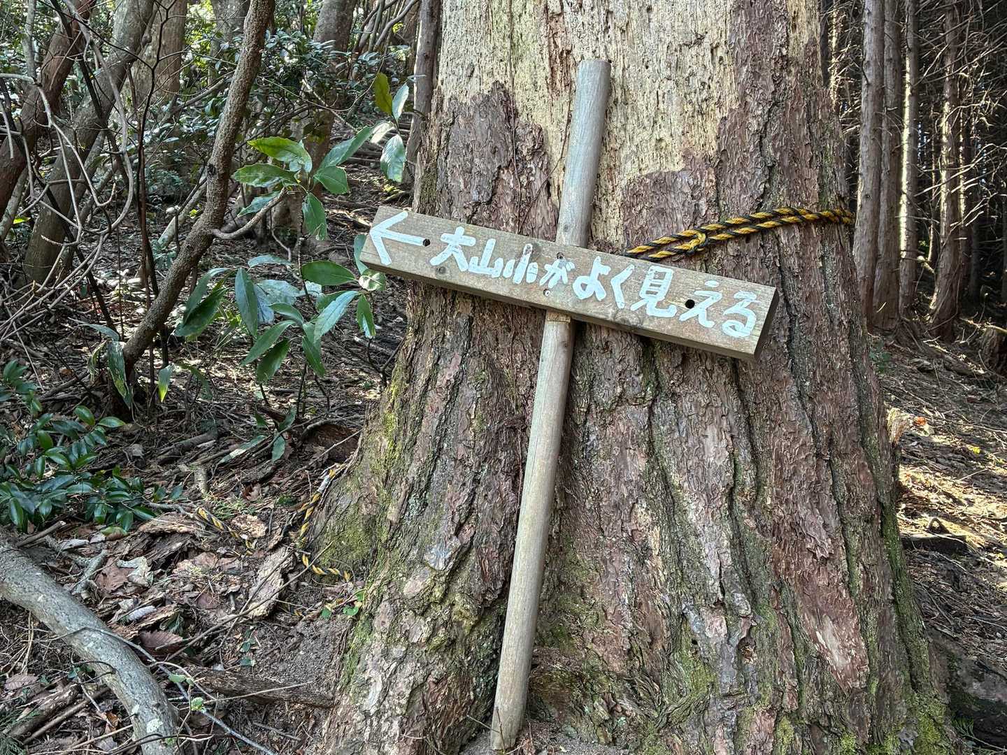 佐摩山 往復コースの写真