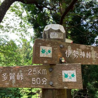 大多賀峠へ。