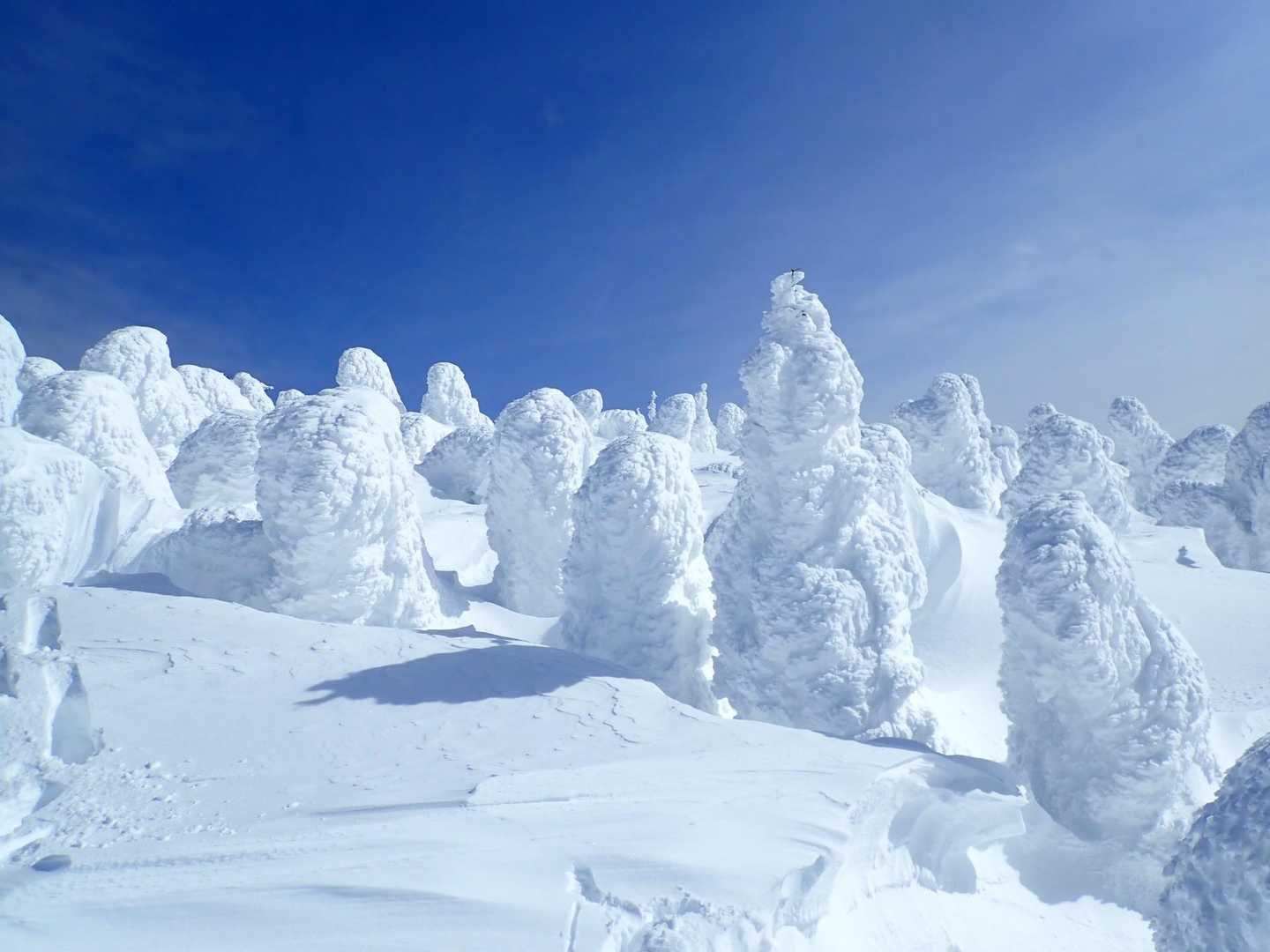 西大巓 往復コースの写真