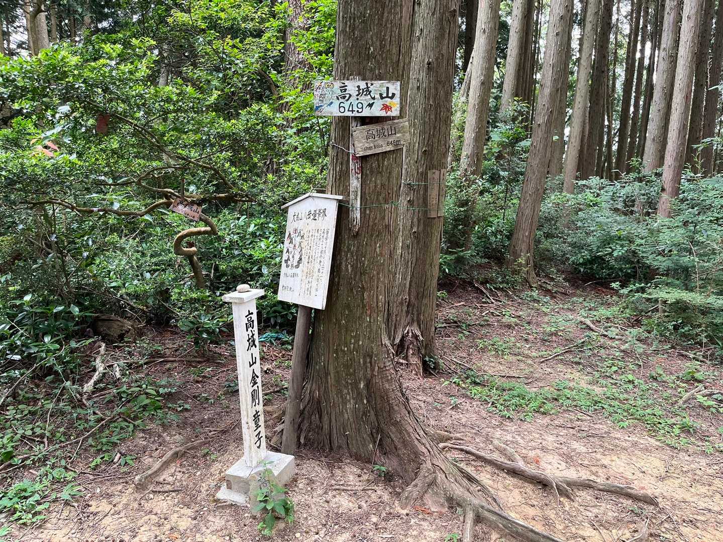 高城山、到着〜♪
