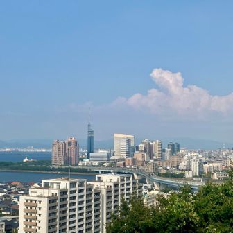 夏らしい空だ。