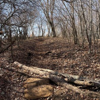 上り終えました
登山道の南側は芙蓉台別荘地