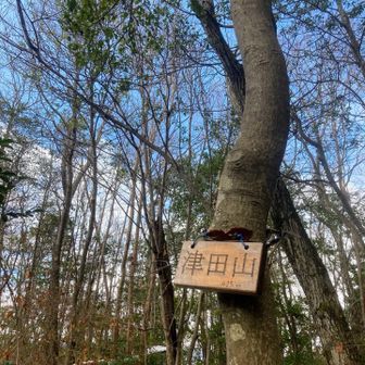 眺望はないけどここは
広めでお弁当食べてるベテランさんも
