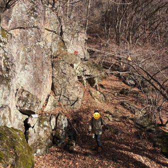 静かな登山道をゆっくり歩きます🥾