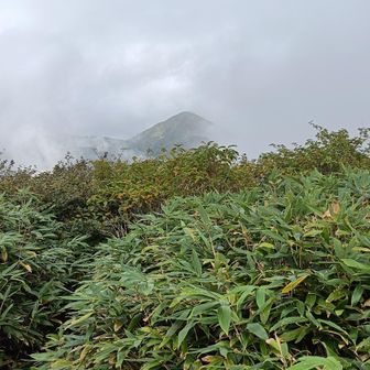 さっきまで見えていた大長山もガスの中😅