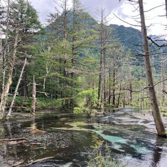 探勝路岳沢湿原から六百山方面