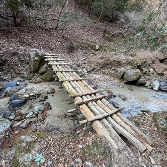 更に降りが続き川まで降りる