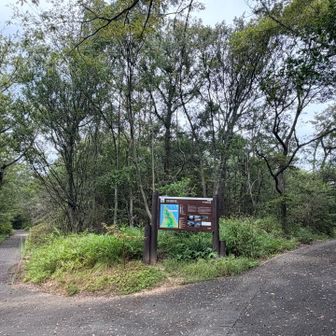 ↖️今日はこっちかな