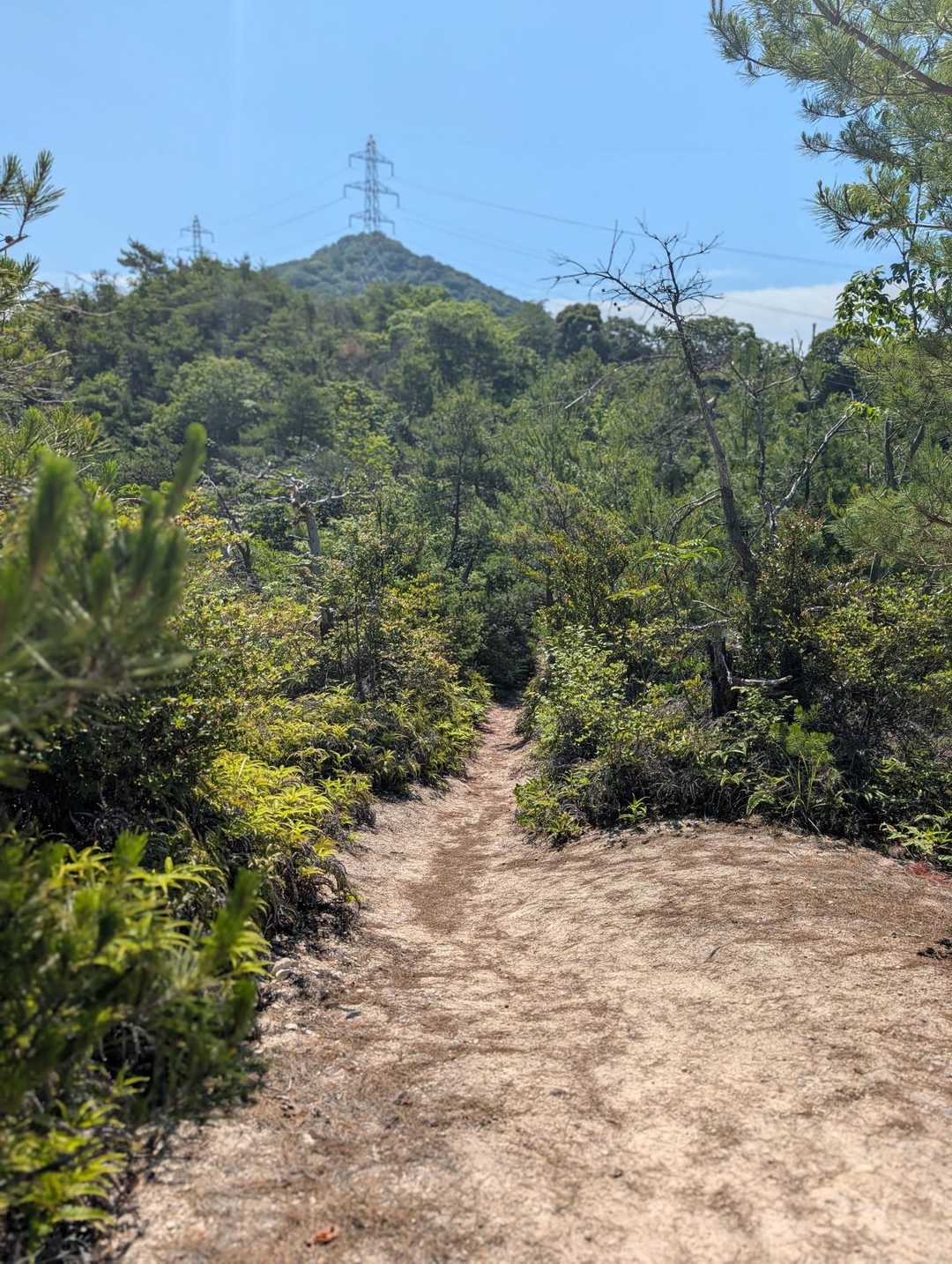 暑っつい暑っつい🥵
先をいそげ🏃💦