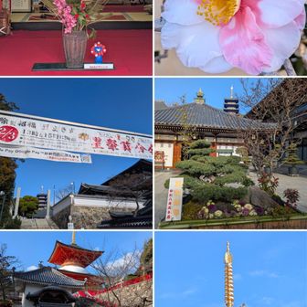 中山寺境内。
生け花。
椿。
まめまき式の日取り。
正月飾り。
大願搭。
五重塔。
