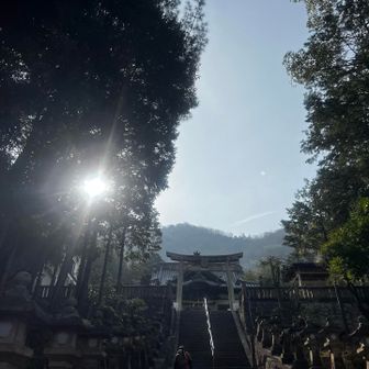 しばらく街中歩き…