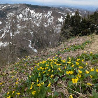 アルプス風に🤭