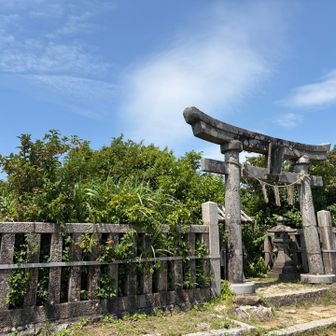 あっちぇ。熱中症寸前よ。
日陰のベンチで15分ほど横たわった寝てたら汗めっちゃ吹き出した💦
腹パンの状態で歩くと調子悪おちゃんですね
