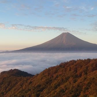 雲海に浮かぶ富士山