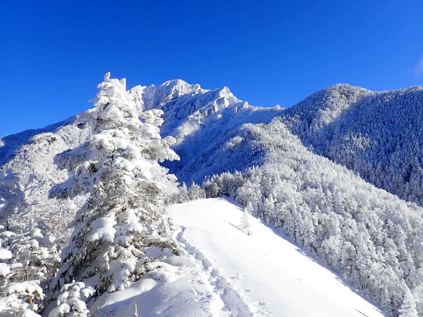 舟山十字路-立場岳-青ナギ-阿弥陀岳-御小屋山 周回コースの写真