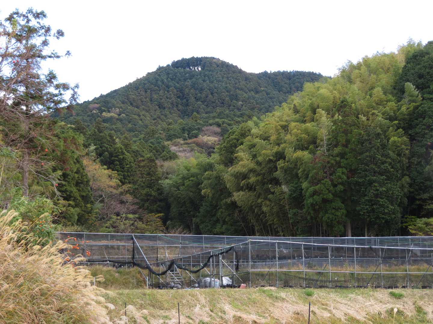 城の山 往復コースの写真