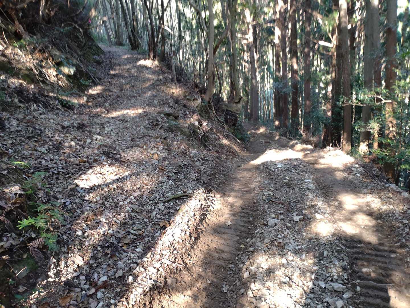 キャタピラの跡は、登山道(左)を離れて右に続いています。