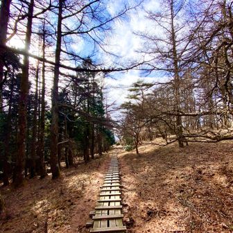 丹沢って感じの木道ですねw