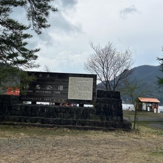 立派な公園です👍