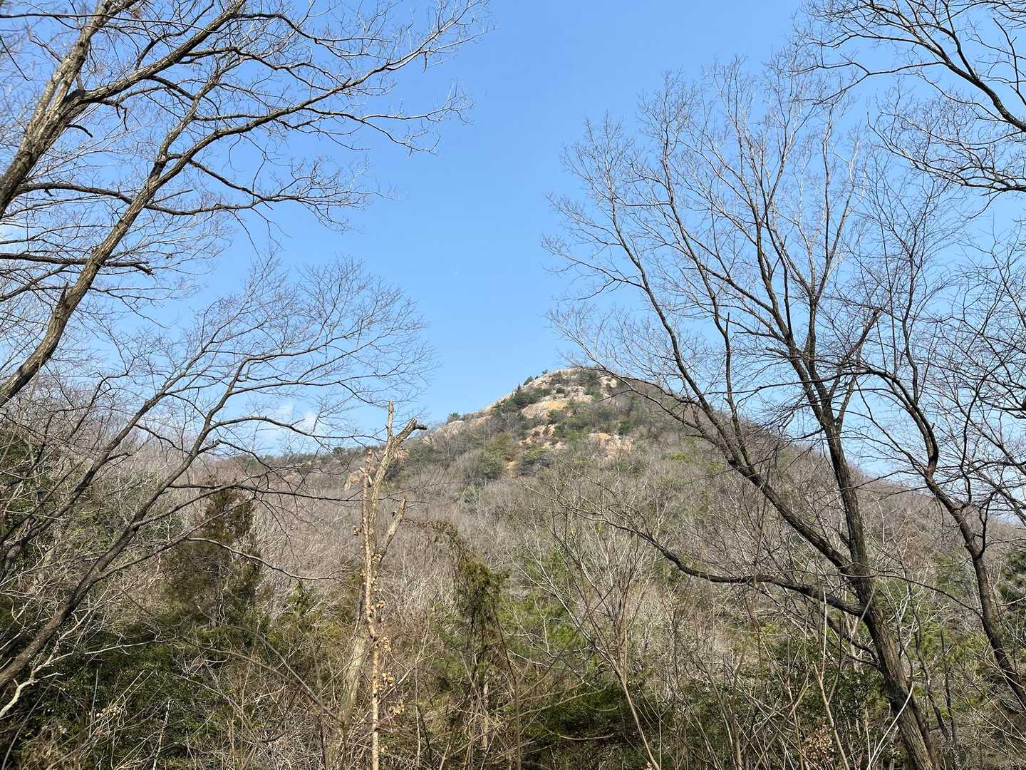 紅山見えて来てテンション上がります。