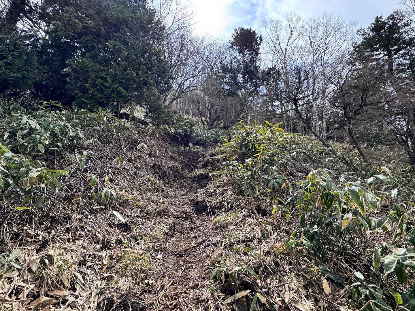 足が重くって歩けない😭🥾が重いかな🤔
何かのせいにしたい私😅