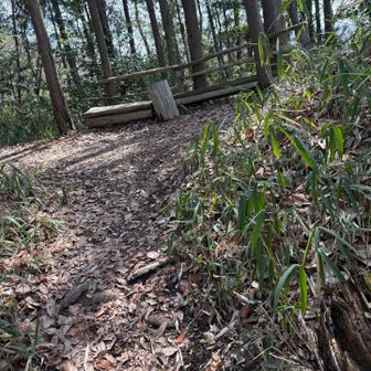 ここでダイトレと合流👍