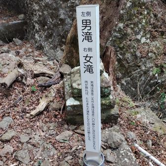 雨が降らないと観れないのですね？