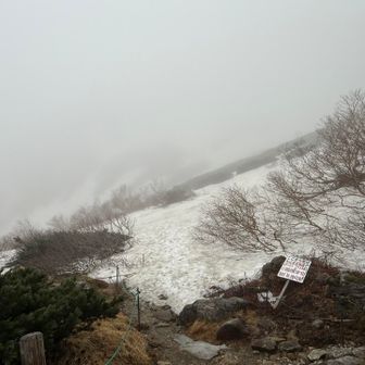 今日は左に進みます。